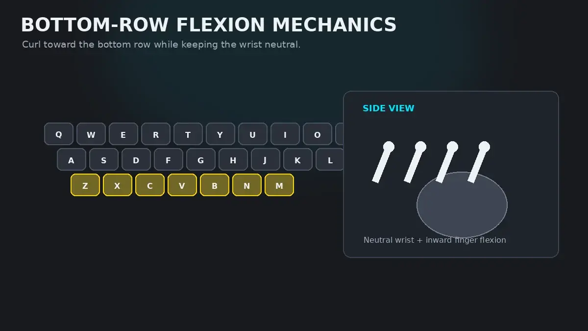 Bottom row finger flexion mechanics showing downward curls for ZXCVBNM and the central B and N divide